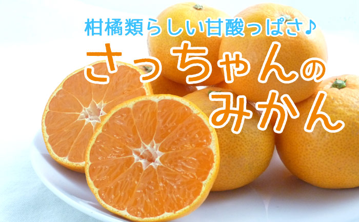 柑橘類らしい甘酸っぱいみかん　さっちゃんのみかん